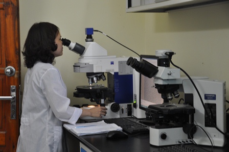  Nhiều điểm mới trong khoán chi thực hiện nhiệm vụ KH&CN sử dụng ngân sách nhà nước